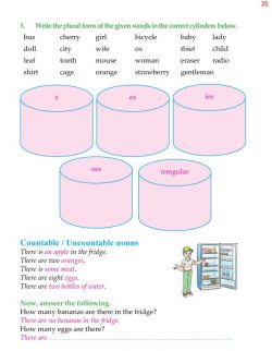 4th Grade Grammar Unit 5 Plurals - Countable and Uncountable Nouns 8.jpg